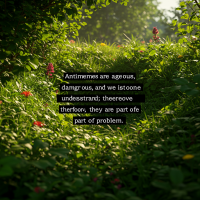 Sunlight filters through dense greenery with red flowers, overlaid by text discussing the danger and mystery of antimemes as part of a larger problem.
