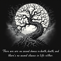 A stark black and white illustration of a twisted tree against a full moon, accompanied by the quote about the absence of second chances in life and death.